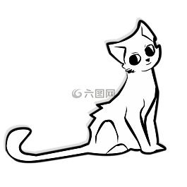 貓,基蒂,動(dòng)物
