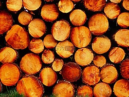 日志,木,holzstapel