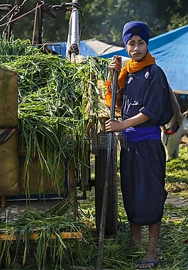 肖像,環(huán)境,穩(wěn)定