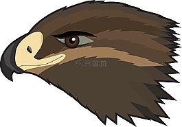 鷹,鳥,捕食者