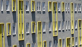 窗口,顏色,建設(shè)