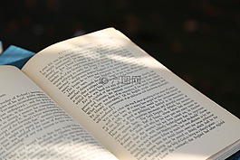 書(shū),閱讀,休息