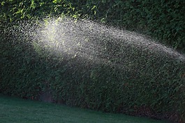 水,花園,澆水
