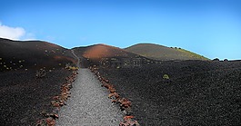 離,火山,加那利群島