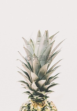 菠萝,甜点,开胃菜