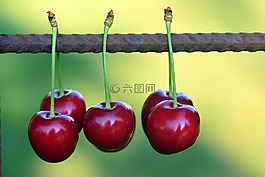 櫻桃,水果,紅色