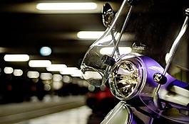 滑板車,黑盾胡蜂,停車