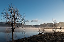 雾,湖,平静