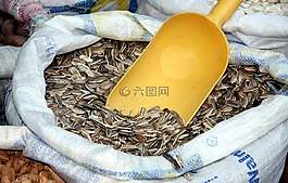 種子,向日葵,麻袋
