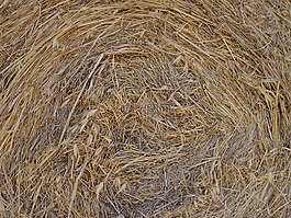 秸稈,稻草包,干