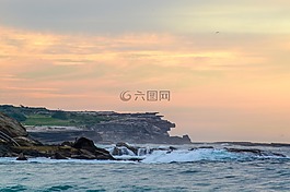 庫吉,悉尼,澳大利亞