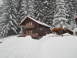 山寨,山,cavnic