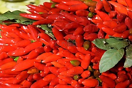 辣椒,食品,健康