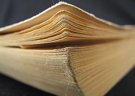 書,頁面,老