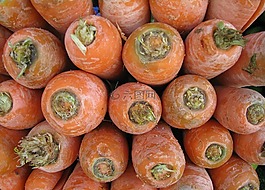 胡蘿卜,未洗,蔬菜