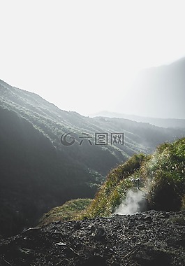 自然,臺(tái)灣,綠化