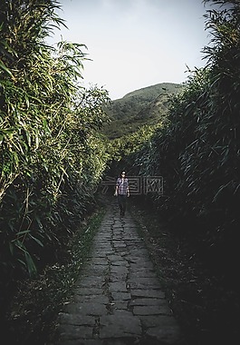 自然,中國,綠化