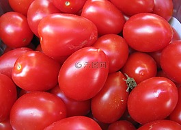 蕃茄,紅色,蔬菜