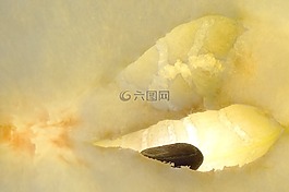 蘋(píng)果,宏,水果