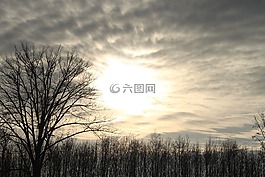 天空,云,傍晚的天空