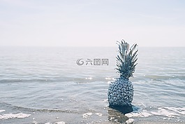 菠蘿,甜點(diǎn),開胃菜