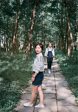 樹林,小徑,綠色