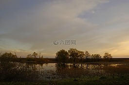 湖,沼澤,春天
