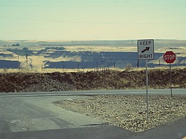 停止,標志,道路