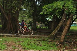 自行車,騎單車的男子,嬰兒