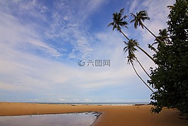 海,海洋,水