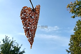 秋季,工作表,賽季
