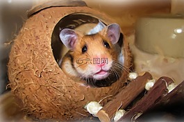 繪畫(huà),油畫(huà),照片油畫(huà)