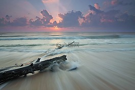 海,水,海灘
