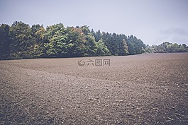 字段,耕地,景觀