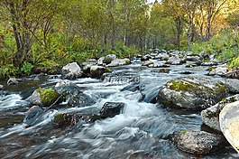 河,流,水