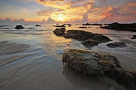 海,水,海灘