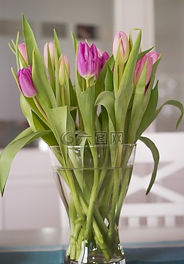 鮮花,花束,郁金香