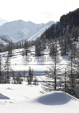 echalp,性質(zhì),阿爾卑斯山