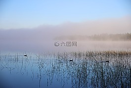 水,海霧,情緒