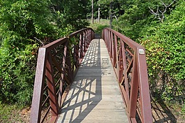 桥,走道,公园