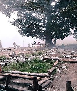 擺動,孩子們,兒童