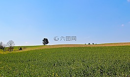 景觀,性質(zhì),字段