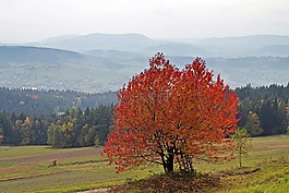 山,秋,視圖