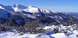 冬奧會,山,冬季