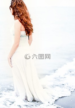 海,海洋,水