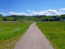 路,景觀,大自然