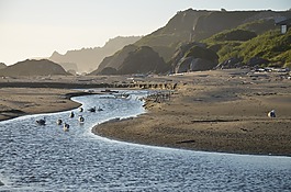 潮,低潮,浪淘沙