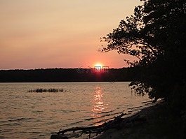 日落,日出,夏天