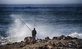 釣魚,魚,自然