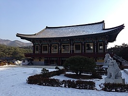 寶塔,佛教,寺